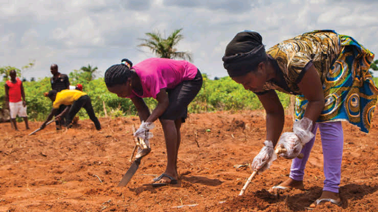 Federal Ministry of Agriculture and Rural Development