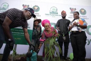 Lagos Plants 20,000 Trees To Boost Climate Change Resilience